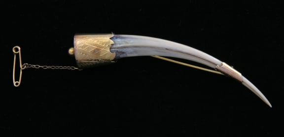 This is an image of a Huia Beak brooch