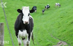 CPTPP gains estimated between $1.2 - $4 billion