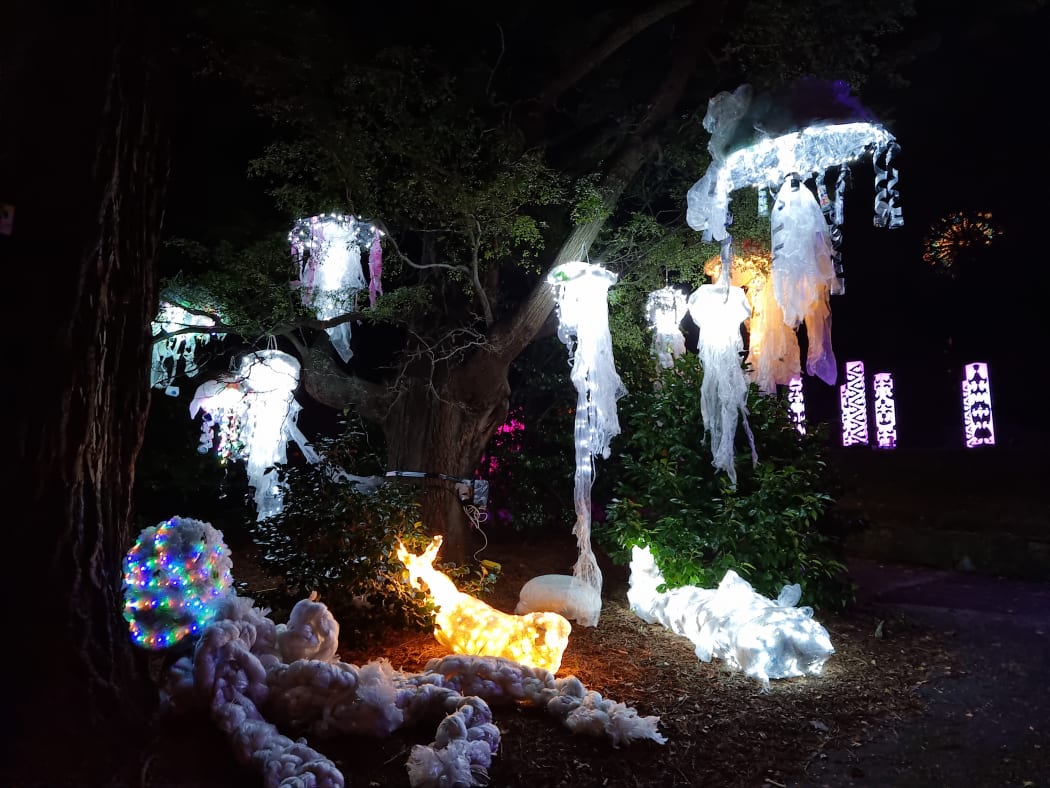 Nelson Intermediate School's installation Moana of Hope and Light, which explores our relationship with the ocean and plastic pollution at the Te Ramaroa light festival.