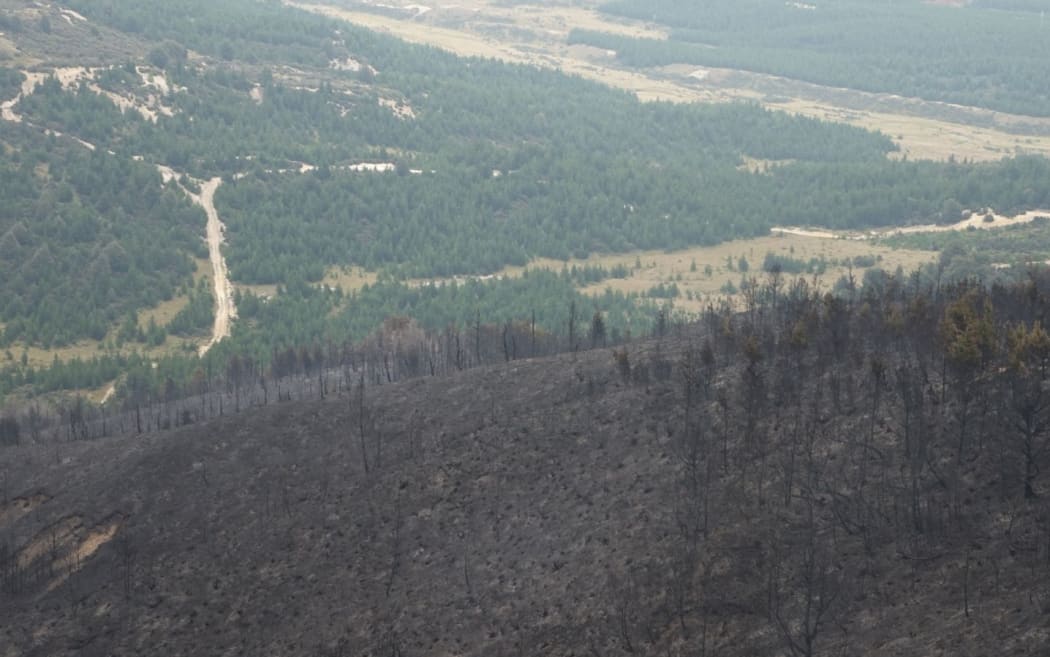 An aerial view of this week's fire opposite the Craigieburn Forest Park.