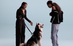 Pets is a documentary about companion animals and their humans, directed by Bryce Dallas Howard