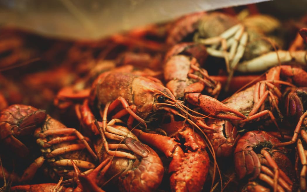 Crayfish