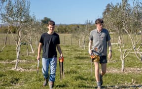 Reagan Murphy and Harry Carlsen at the Wairarapa College’s horticulture block which has produced an award winning olive oil.