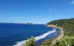 Rangitāhua / Raoul Island.