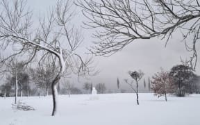 Snow in Dunedin's hill suburbs.