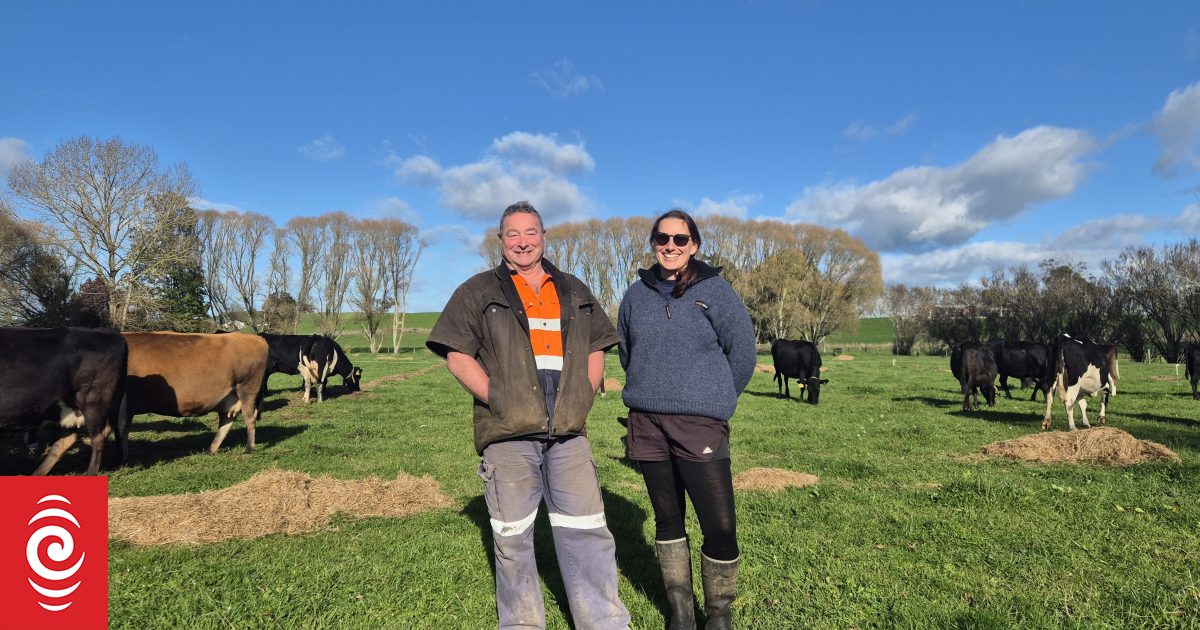Country Life: Tirau dairy farm's tech adoption