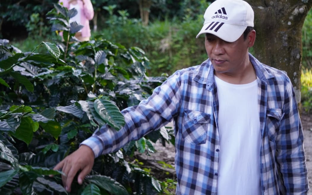 Pichit Boonyuenpanakul a coffee farmer in Wawee whose parents switched from growing opium in the 1980s.