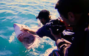 White shark wrangling at Gansbaai, South Africa, 2001