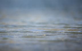 FOR WATER TAX story - Generic Water