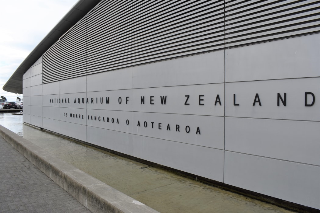 The National Aquarium of New Zealand in Napier.