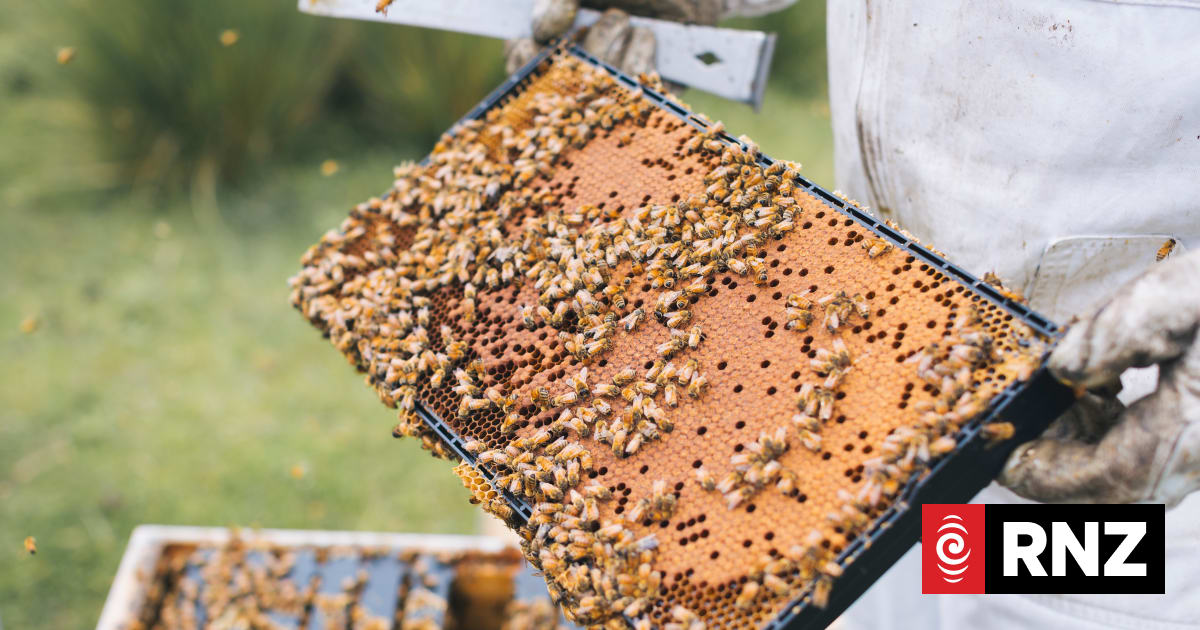 Mānuka honey regulatory definition throws industry into turmoil
