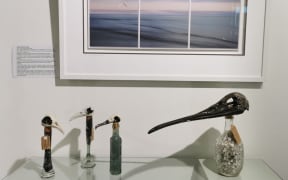 Predator Free 2050 exhibition