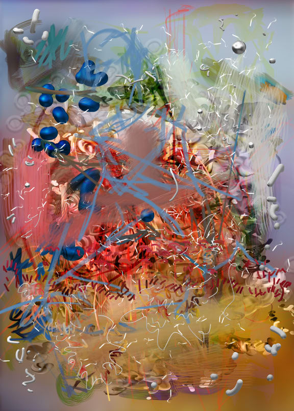 Petra Cortright