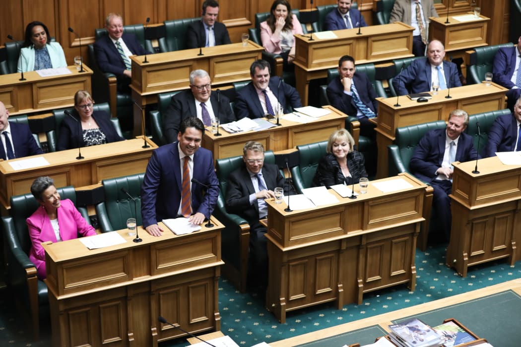 National Party leader Simon Bridges during the adjournment debate for 2019