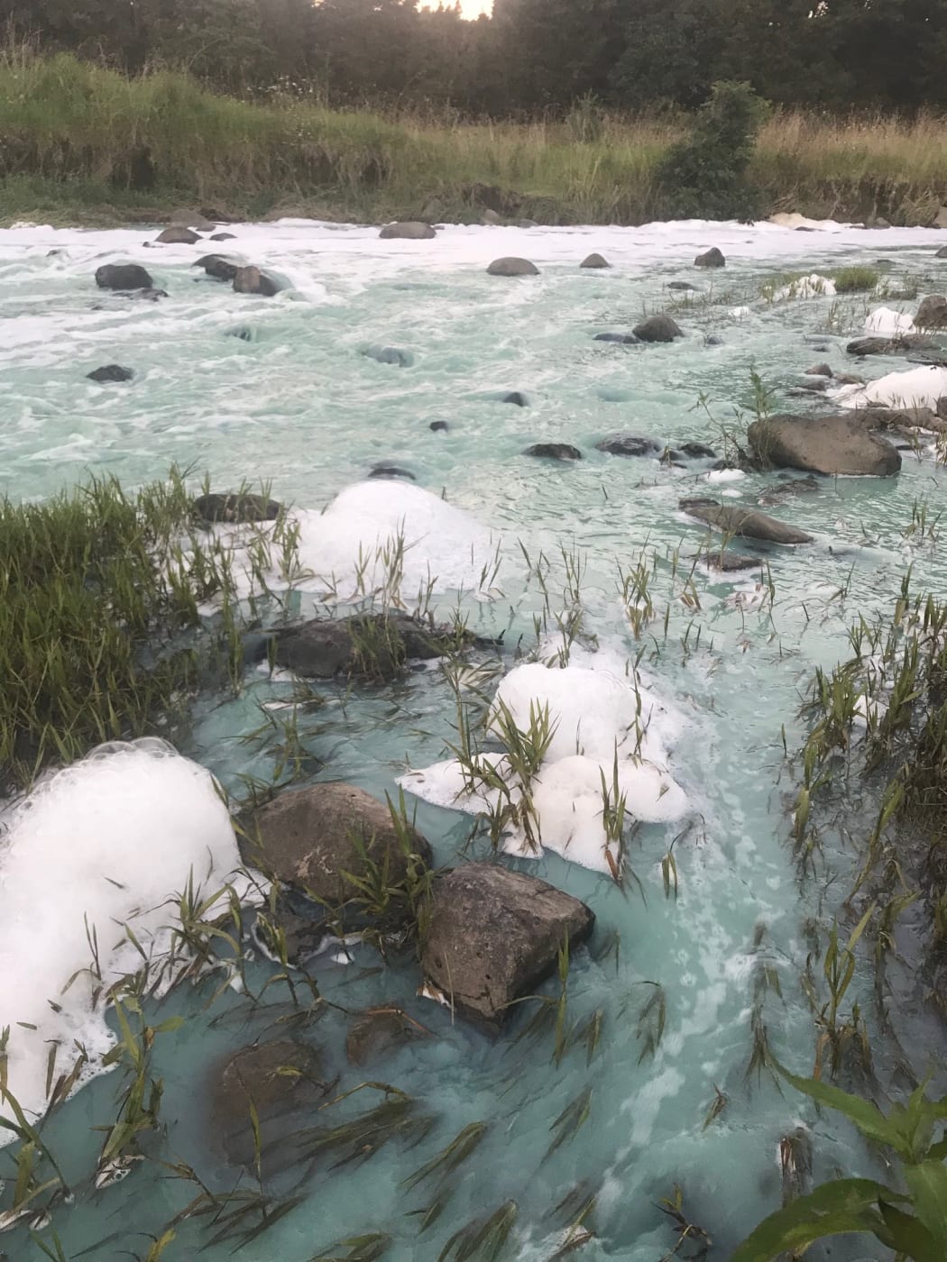 Foam forms on the Utukura river after a massive algal bloom.