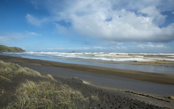 Muriwai Beach