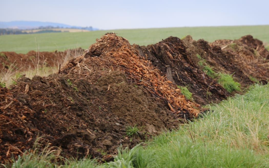 Mark Anderson - Regenerative Farmer in South Otago