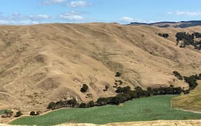 Coastal Wairarapa has suffered drought-like conditions all summer.