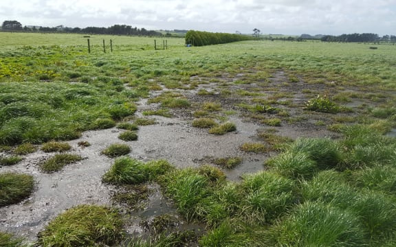 The irrigation pump was broken and was left to spray effluent into the field between June and October last year.