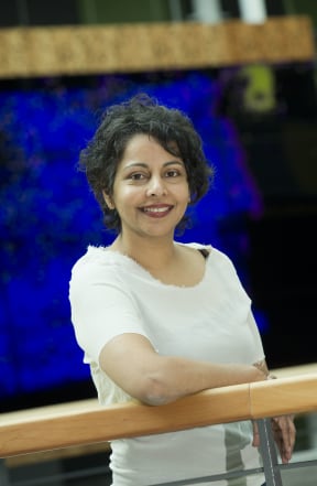 Rhema Vaithianathan