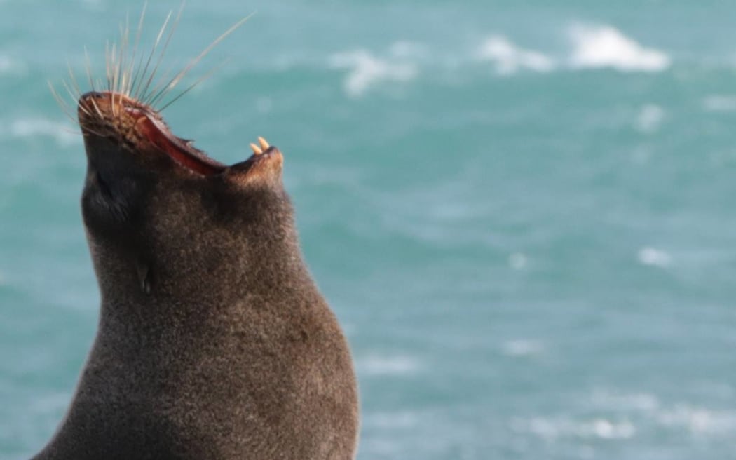 Test 11:50am 12/01/26