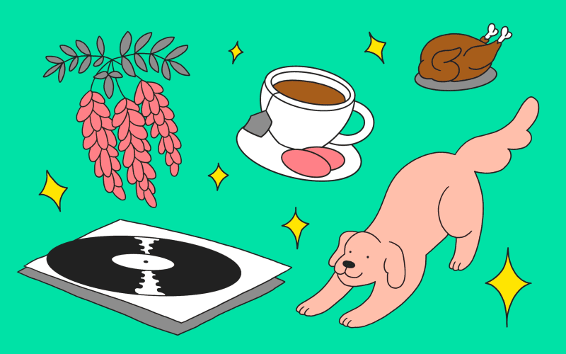 Stylised illustration of Wisteria, records, tea, dog and roast chicken.