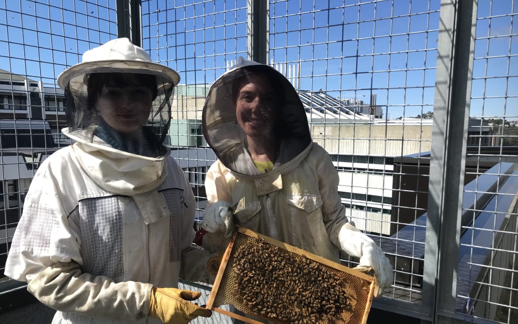 Two women wearing beekpeeking suits hold a beeswax frame from a hive covered in bees.