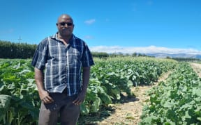 Emmanuel Chakwizira, crop scientist, Plant and Food Research, Lincoln.