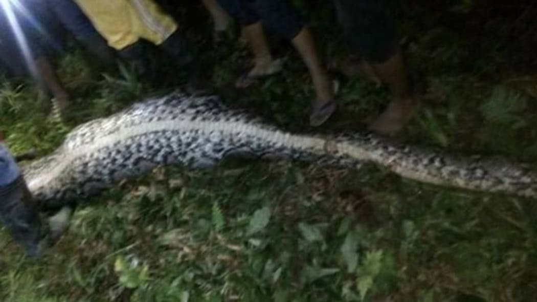 A missing Indonesian man, Akbar, was found dead inside a python.