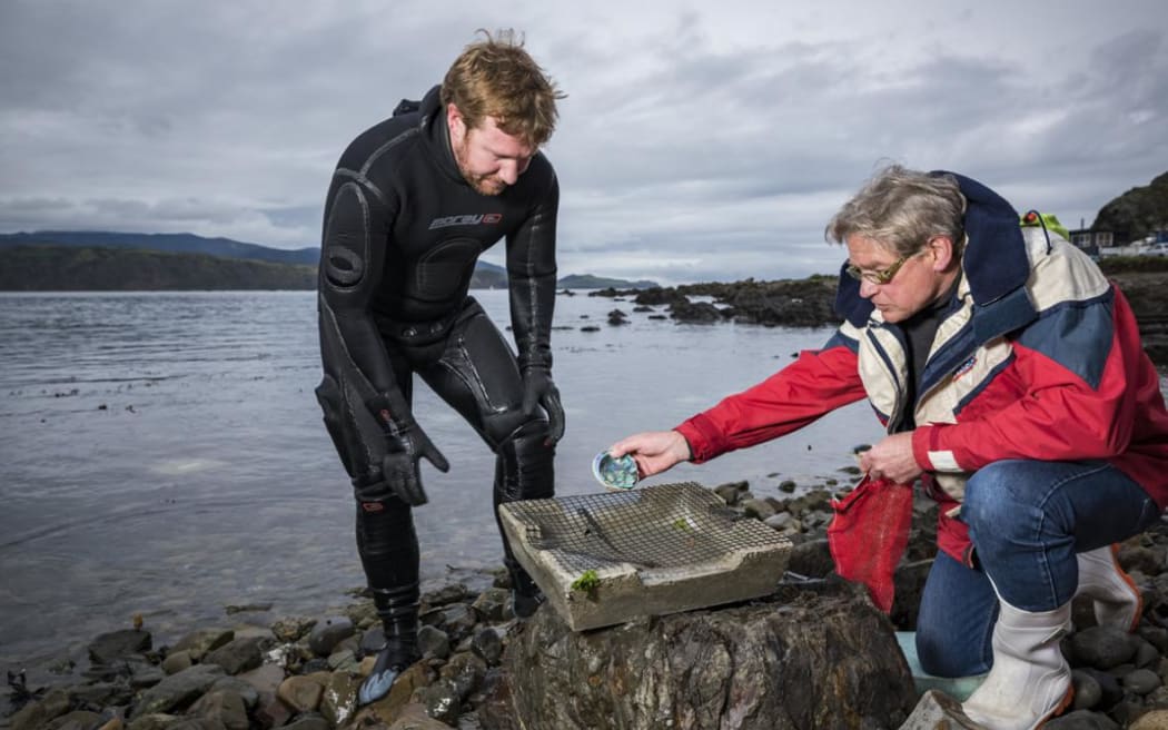 Reyn Naylor from NIWA and Tom McCowan from the Paua Industry Council with a pāua 'house' being trialled in Wellington and Kaikōura.