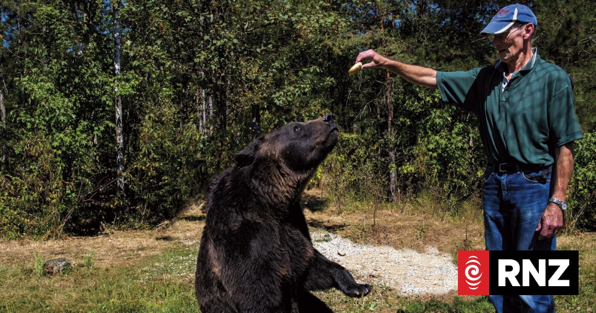 Country Life: Former Wellington zookeeper helps Europe's rescue bears