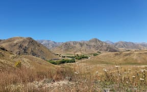 Awatere Valley, Marlborough