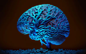 dark background with illuminated model of brain in blue tones