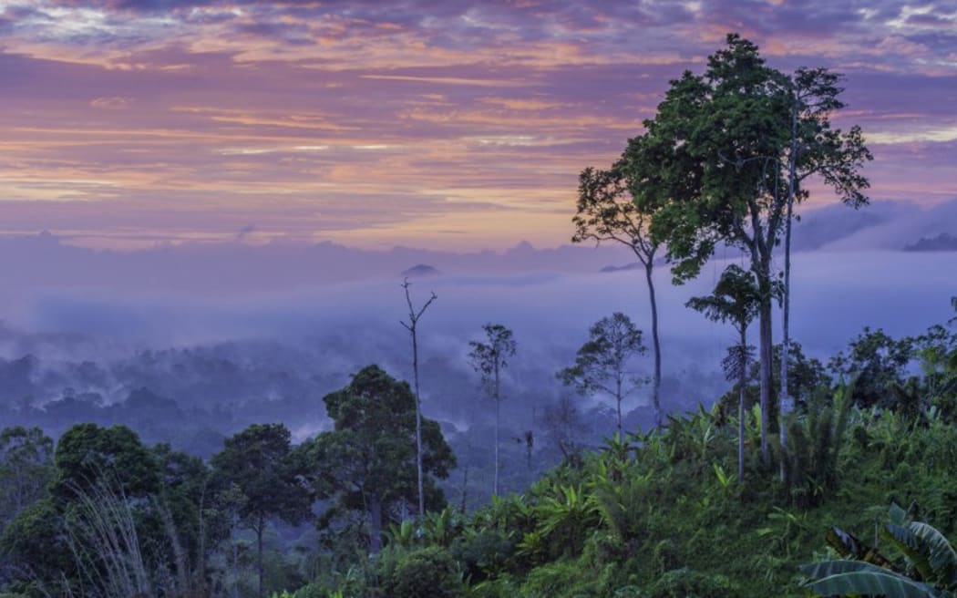 Papua New Guinea.
