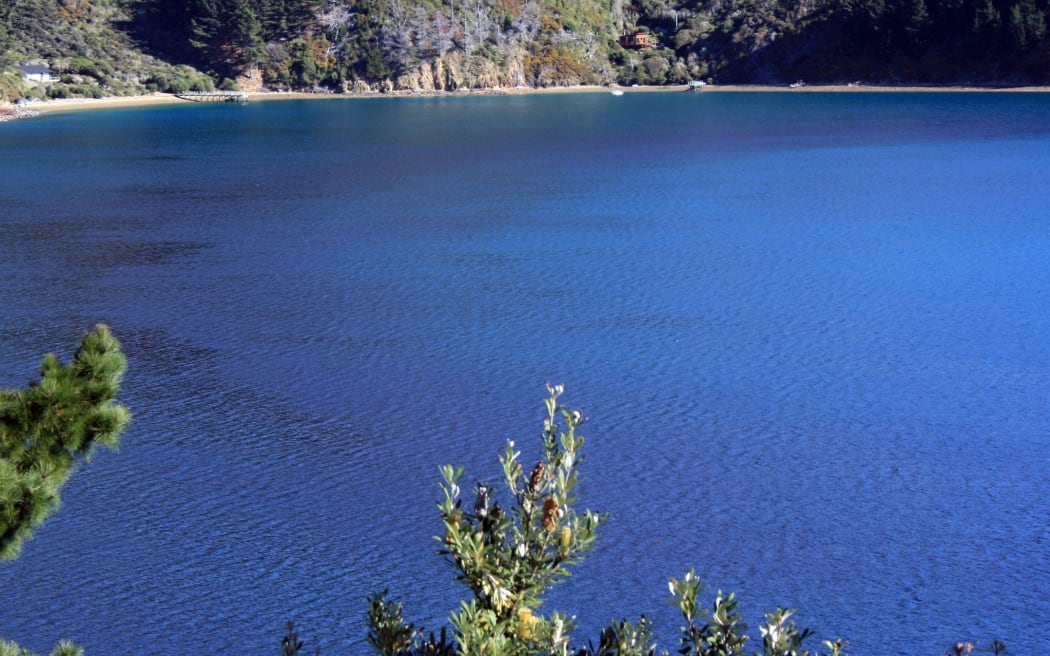 The dark shadows in Ahatarakihi Bay, top left, are red algae, in 2012. A council scientist has been unable to find any red algae in Queen Charlotte Sound