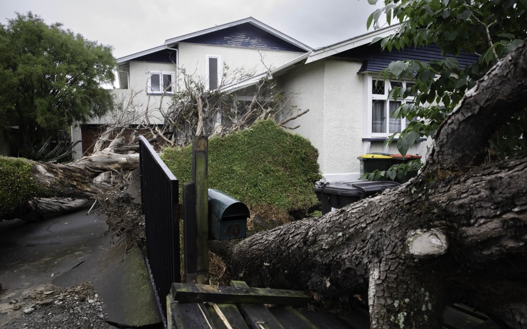 A severe thunderstorm brought down trees on a property at Kings Crescent, Lower Hutt, on 12 December, 2023.
