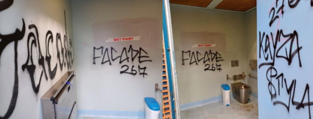 The park toilets are grappling with persistent graffiti, with frequent tagging. Solutions are being explored. Photo / Auckland Council