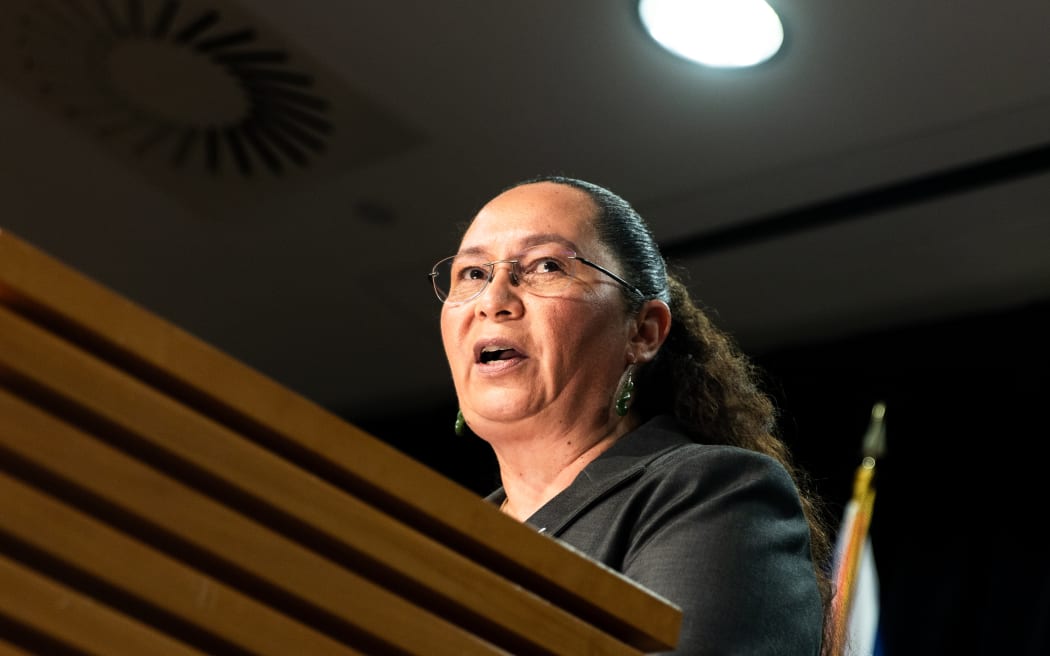 Associate Justice Minister Nicole McKee announcing details of proposed gun law reforms on 11 November 2025.