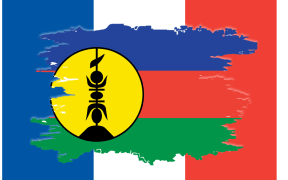 Veronique Roger-Lacan says "France is qualified in the UN as an administering power and New Caledonia as an administered territory".