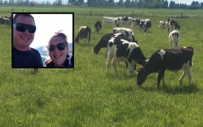 Christ Payne and Taylor Newcombe have had 55 fresian bull calves stolen.