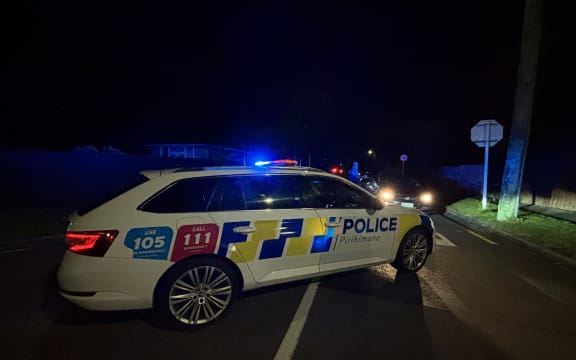 Police were at the scene on Hoani St in Christchurch's Northcote.
