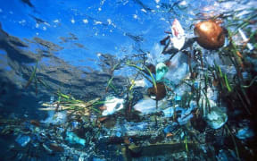 Plastic in the ocean.