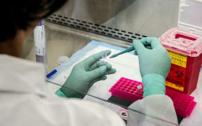 Worker conducting laboratory testing.