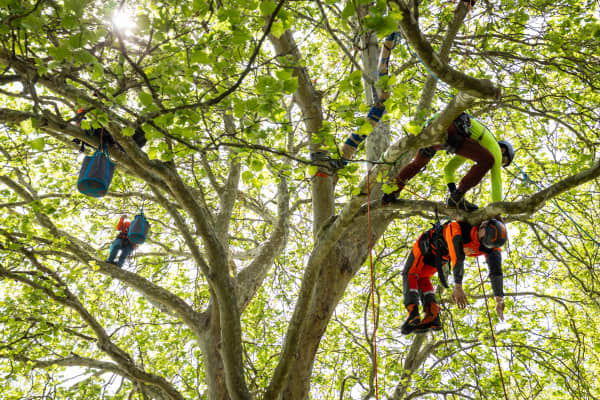 ITCC World Championship