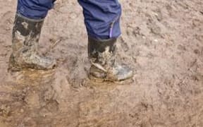 muddy