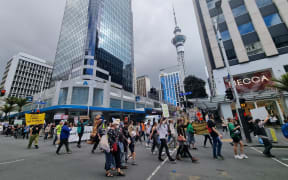 The Fridays for Future Tāmaki Makaurau march in Auckland on 23 September, 2022.