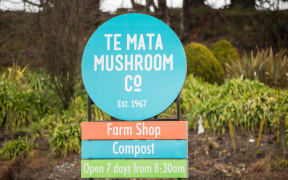 Te Mata Mushroom Company in Havelock North