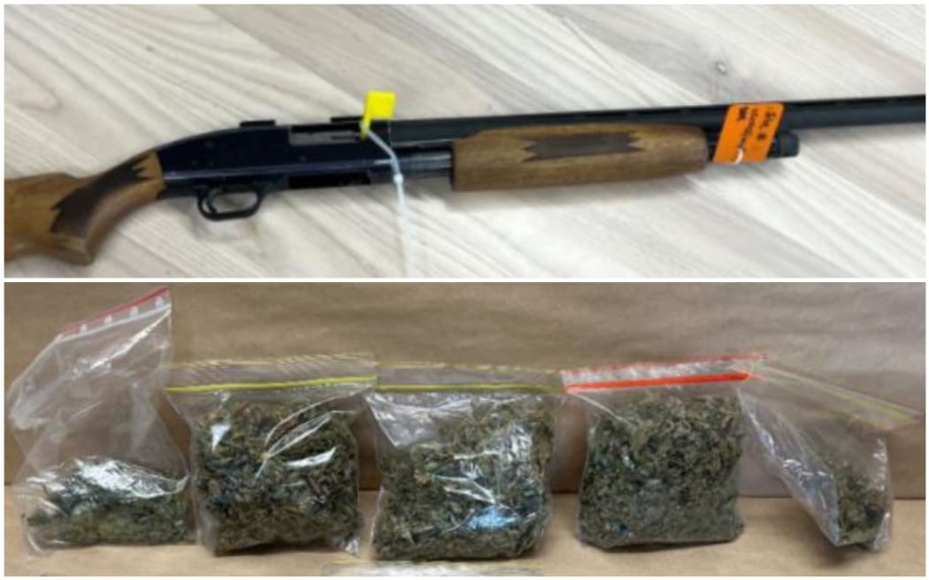 Police seized drugs, weapons and stolen property from the Raupunga properties.