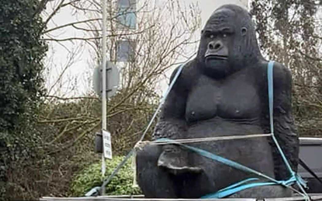 Reynard Nursery was sent a series of photos of the gorilla statue on a trailer
