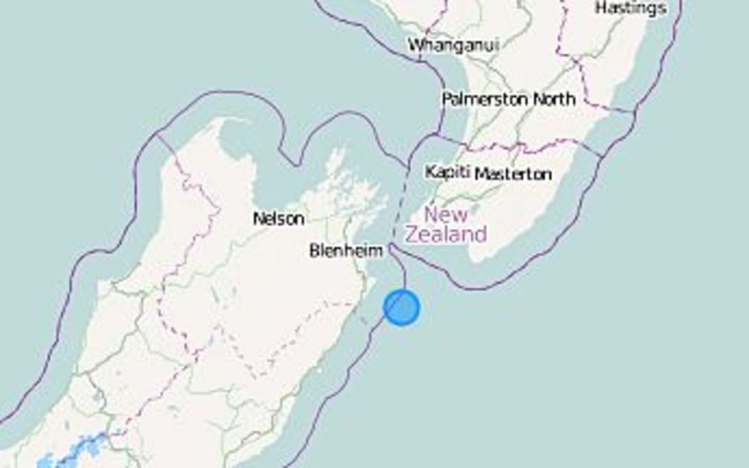 The 4.5 magnitude quake was centred near Seddon.